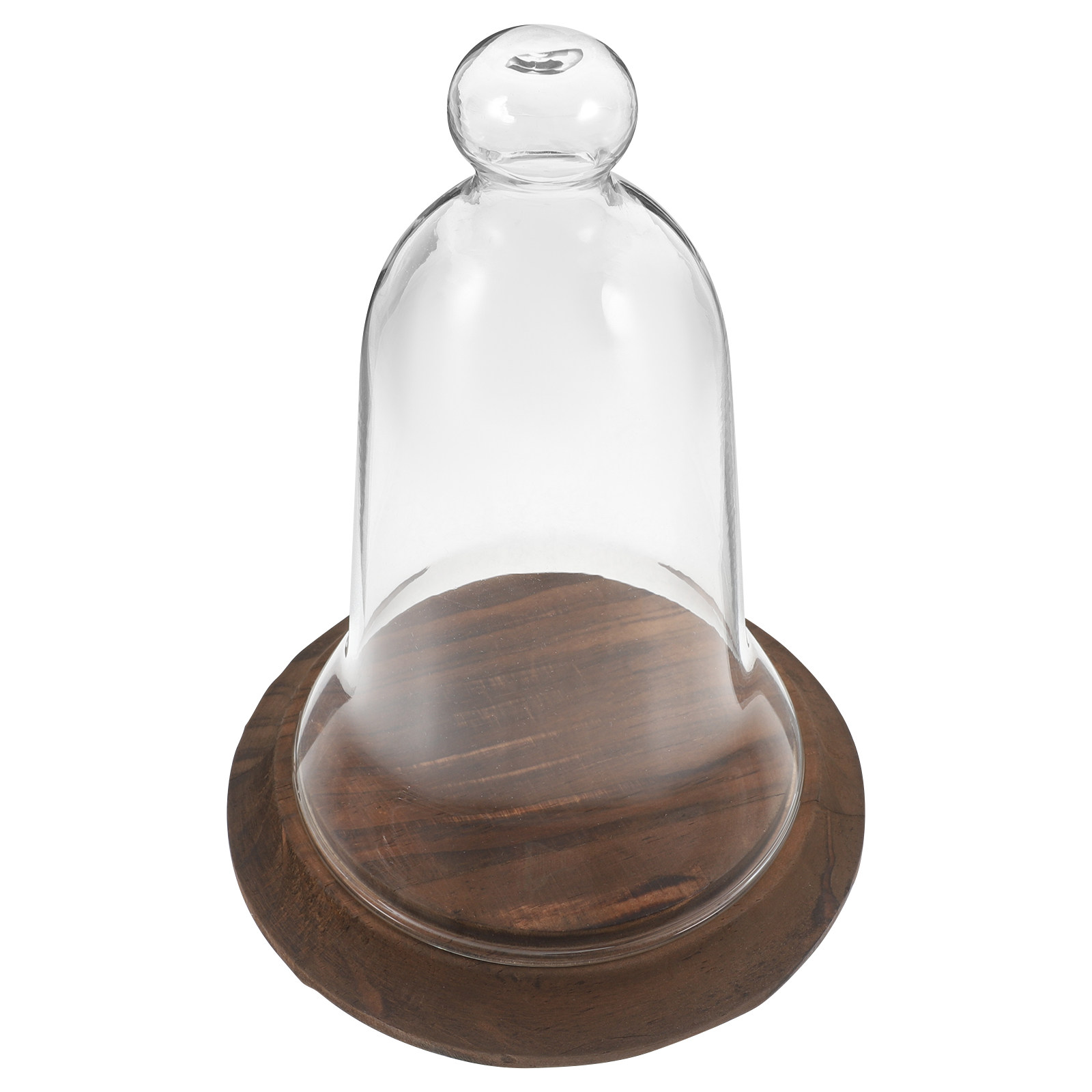 Glass Dome Display Cover High  - Plastic Dome Clear 评论和价格