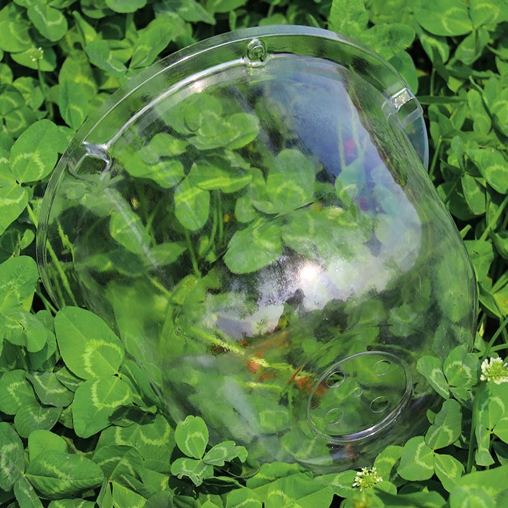 Reusable Clear Plastic Seedlin - Plastic Dome Clear 评论和价格