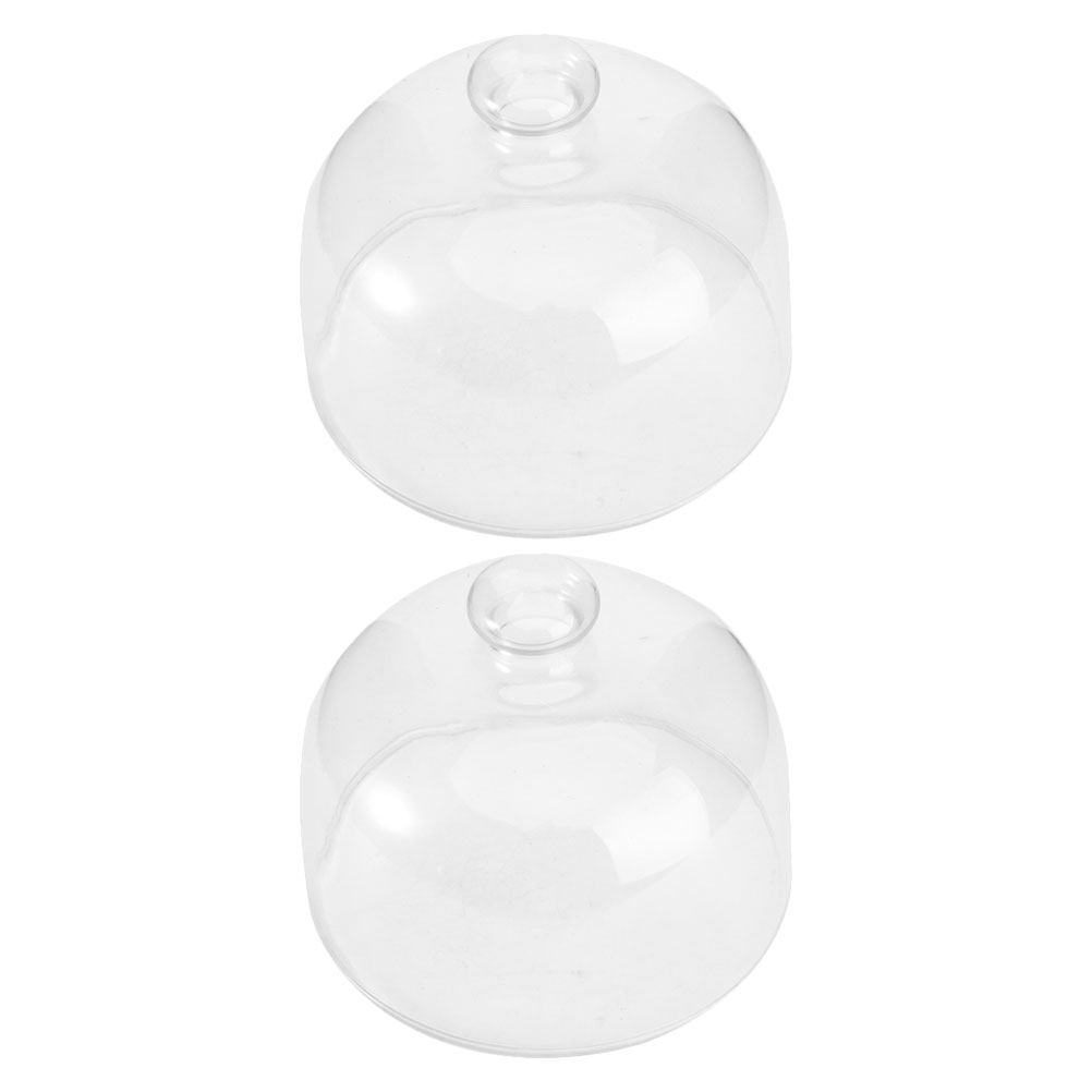 2Pcs Transparent Glass Cake Do - Plastic Dome Clear 评论和价格