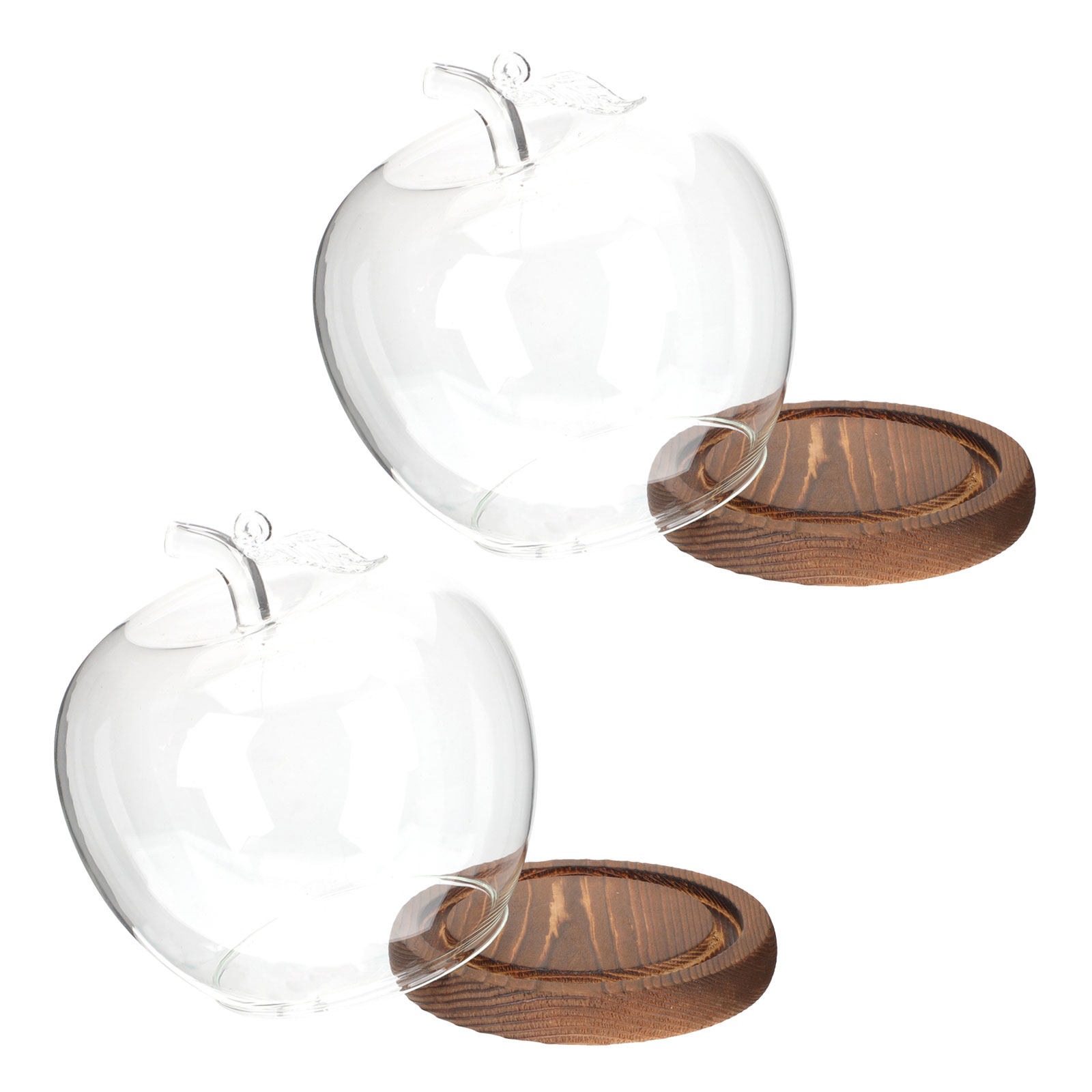 2Pcs Glass Cloche Dome with Wo - Plastic Dome Clear 评论和价格